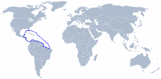 wereldkaart Argopecten irradians amplicostatus